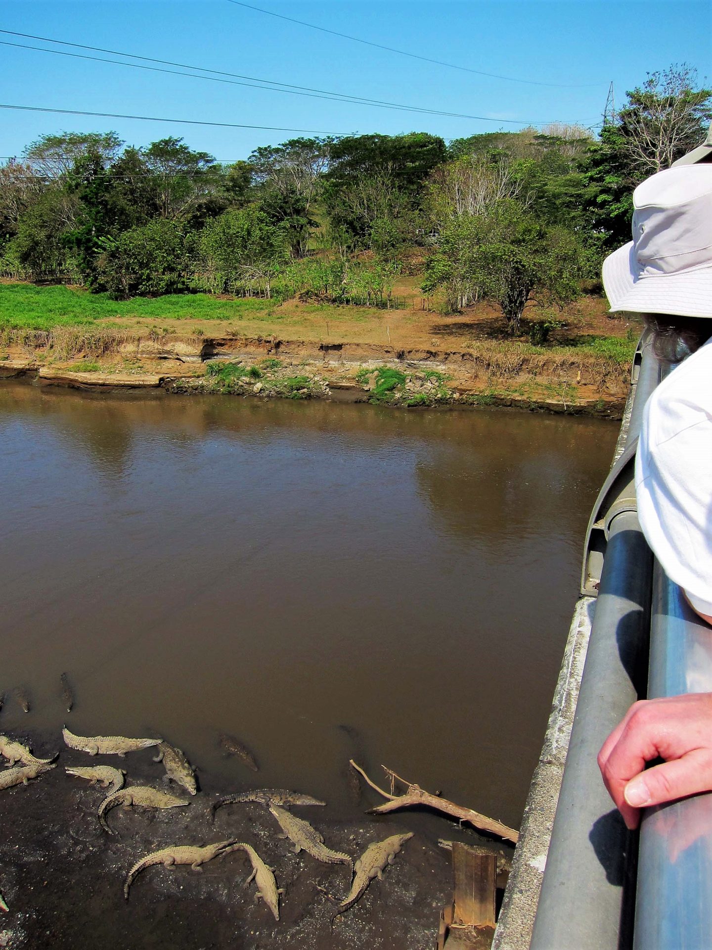 Tarcoles Bridge, Costa Rica